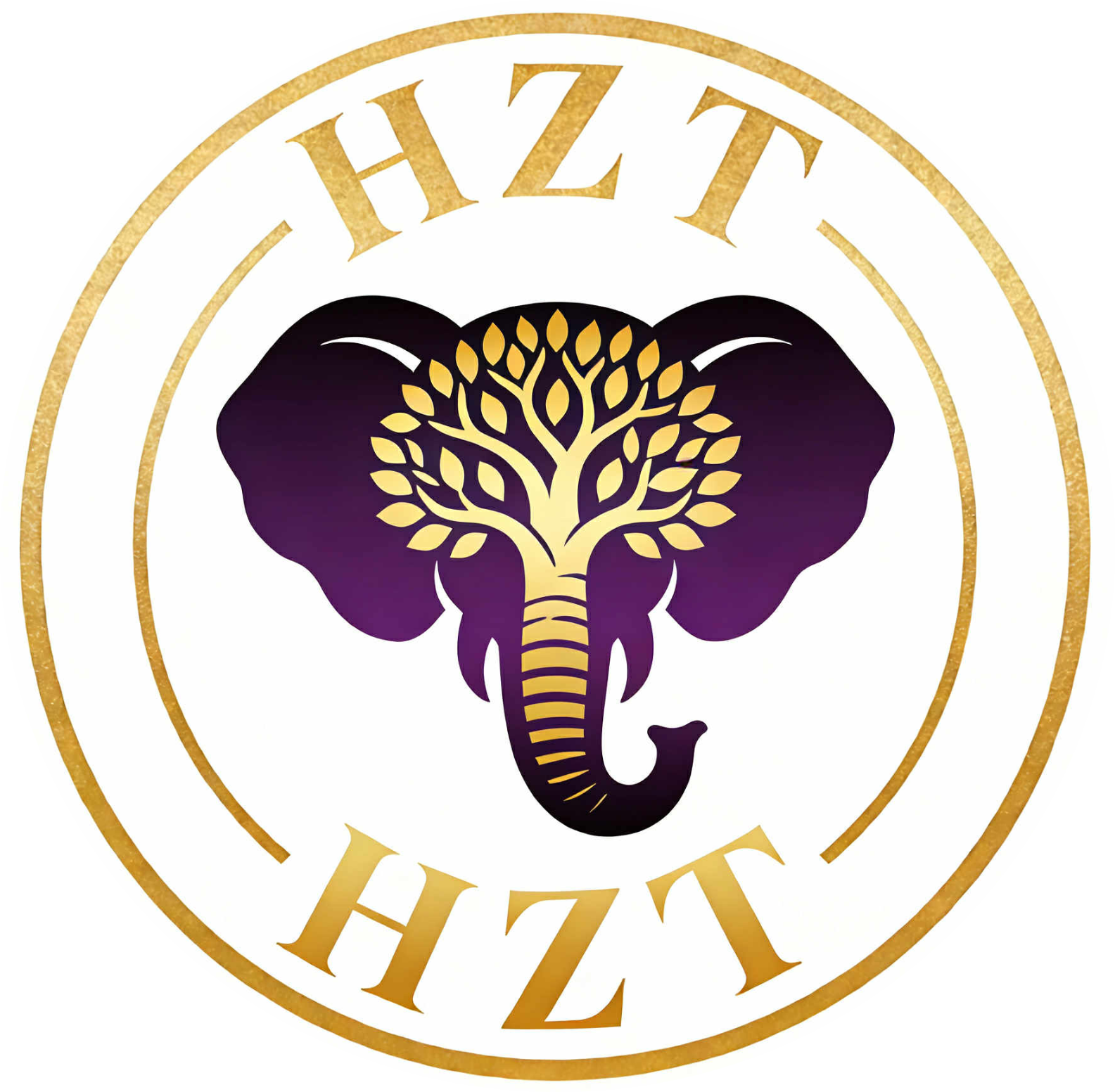 HZT Logo